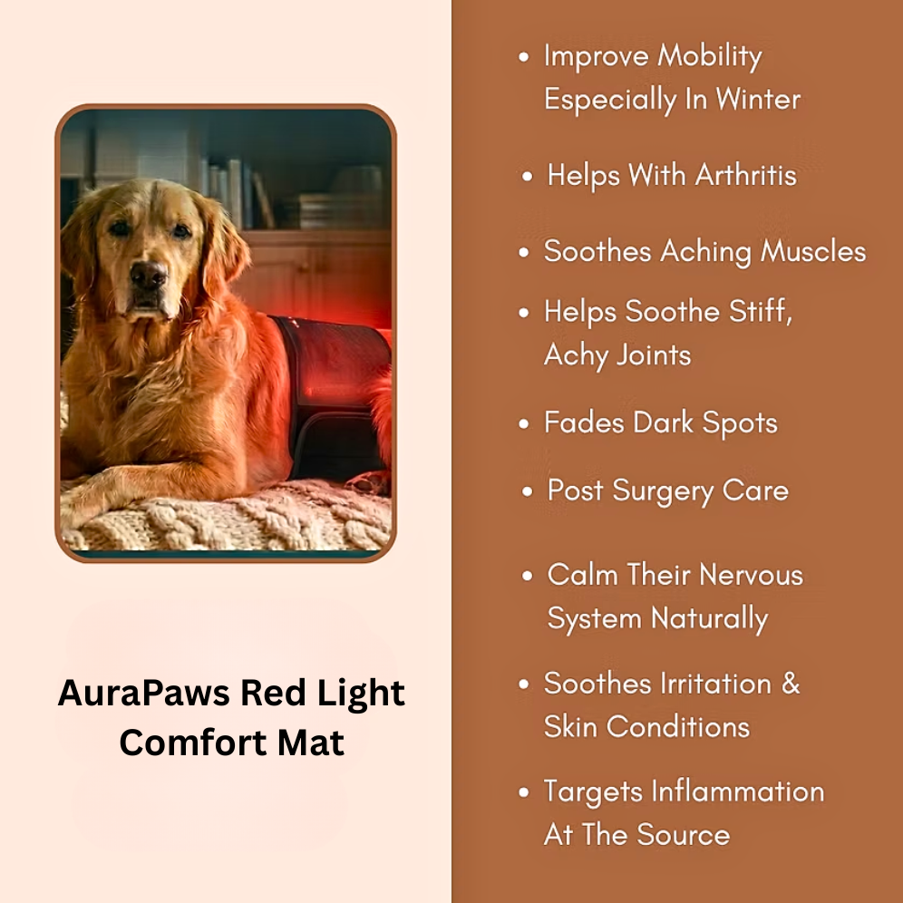 AuraPaws Red Light Comfort Mat
