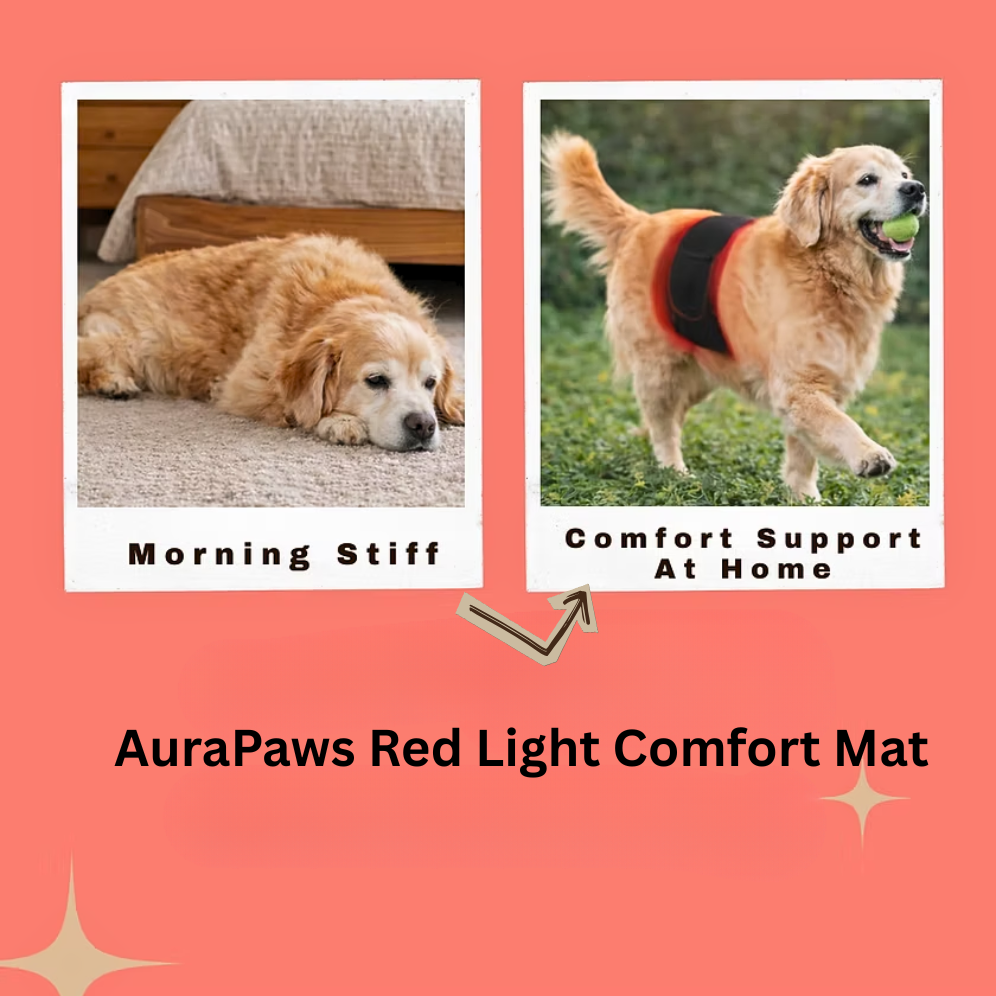 AuraPaws Red Light Comfort Mat