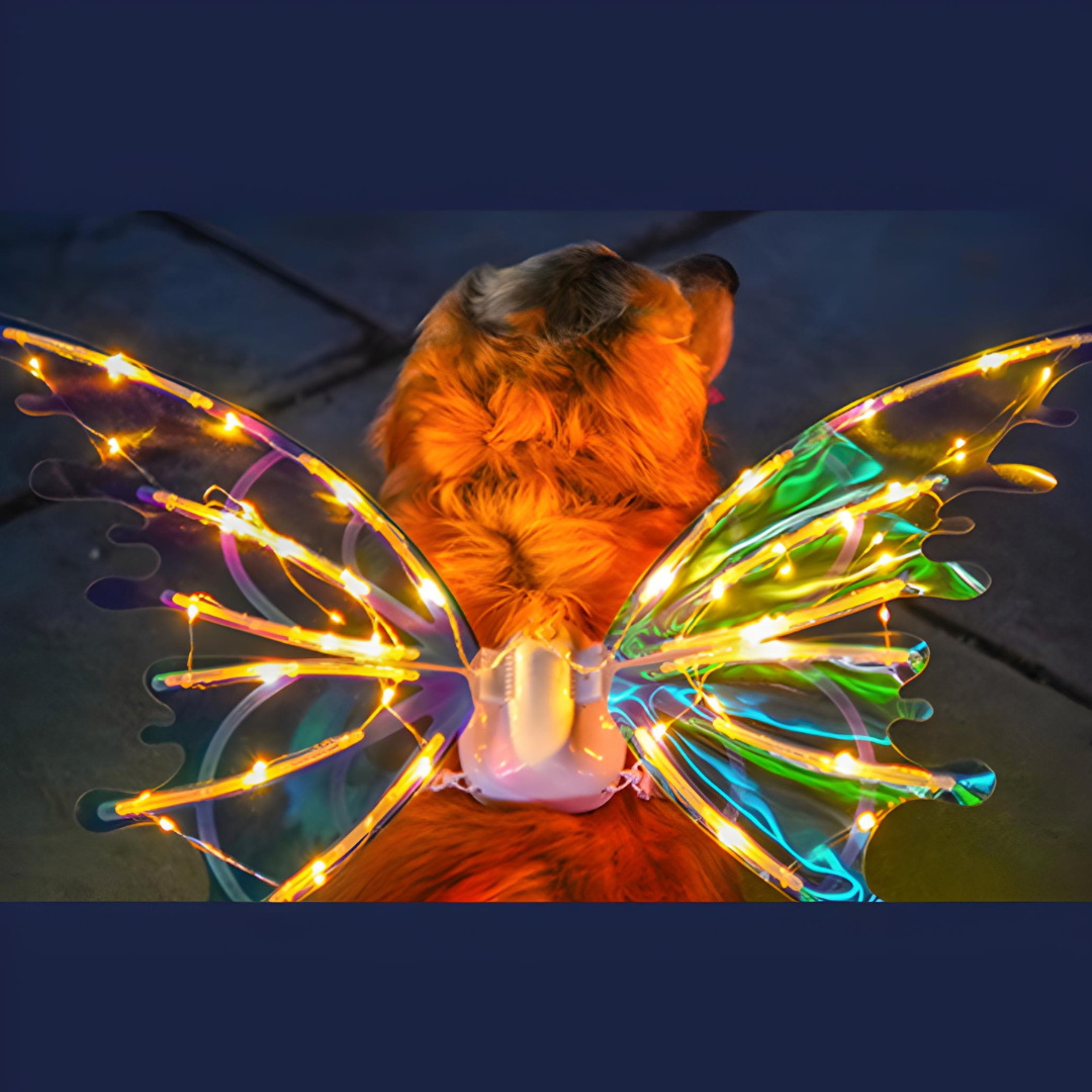 Magical Fairy Moving Wings