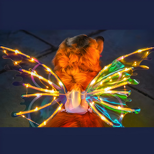 Magical Fairy Moving Wings